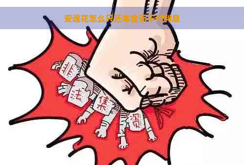 安逸花怎么只还本金而不付利息