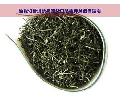 新探讨普洱茶与绿茶口感差异及选择指南