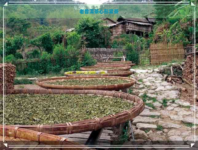 老普洱茶心形紧茶