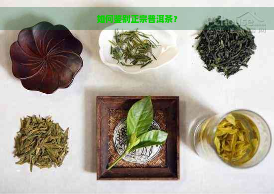 如何鉴别正宗普洱茶？