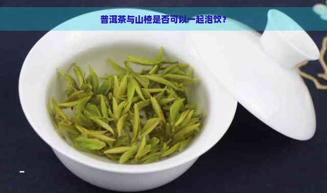 普洱茶与山楂是否可以一起泡饮？