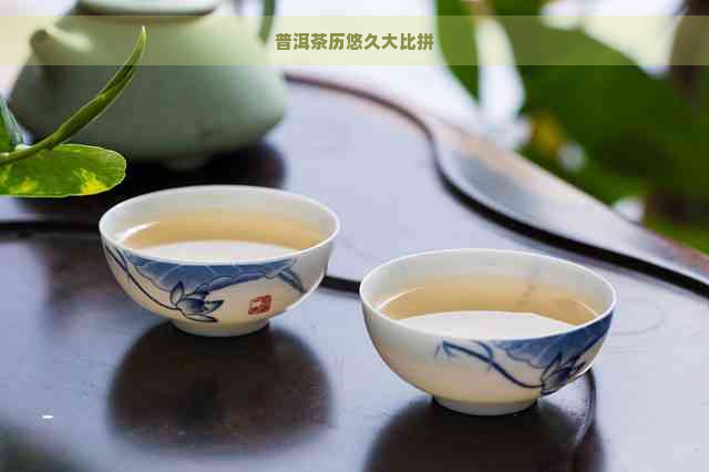 普洱茶历悠久大比拼