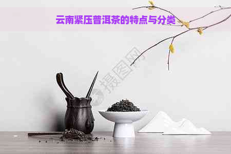 云南紧压普洱茶的特点与分类