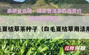 泰茶业直销：探索普洱茶的尊贵价格与品质保证