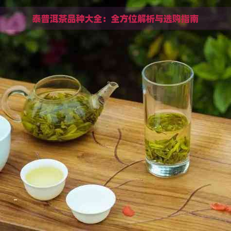 泰普洱茶品种大全：全方位解析与选购指南