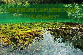 海南旅游团带机票吗现在多少钱还有团吗能否出行？