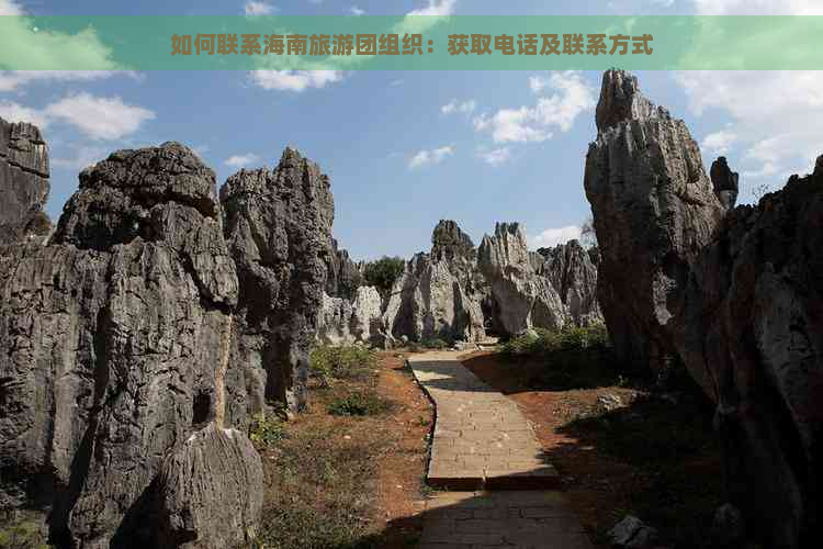 如何联系海南旅游团组织：获取电话及联系方式