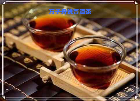 方子舟说普洱茶