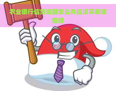 农业银行信贷逾期怎么办应该采取哪些措