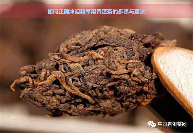 如何正确冲泡和享用普洱茶的步骤与建议