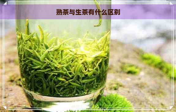 熟茶与生茶有什么区别