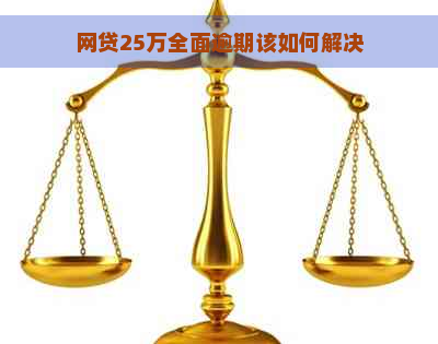 网贷25万全面逾期该如何解决