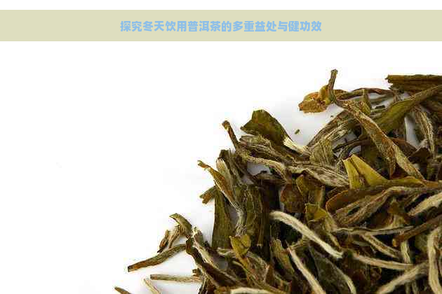 探究冬天饮用普洱茶的多重益处与健功效