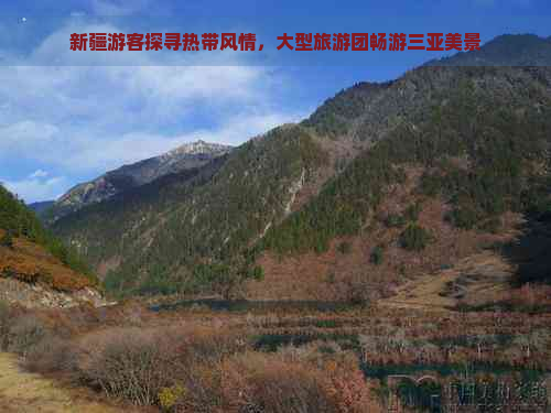 新疆游客探寻热带风情，大型旅游团畅游三亚美景