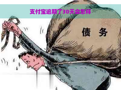 支付宝逾期了30天会怎样