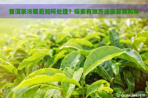 普洱茶冷藏后如何处理？探索有效方法恢复其风味