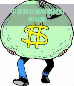 中邮消费金融逾期如何处理