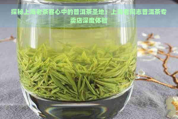 探秘上海老茶客心中的普洱茶圣地：上海老同志普洱茶专卖店深度体验