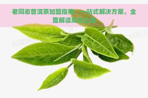 老同志普洱茶加盟指南：一站式解决方案，全面解读成功之道