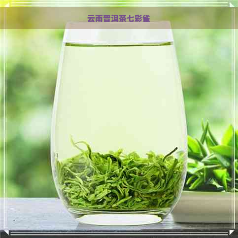 云南普洱茶七彩雀