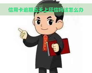 信用卡逾期五天上吗该怎么办