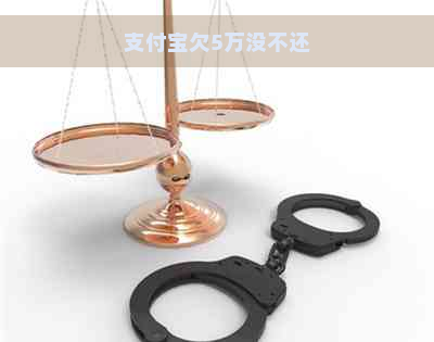 支付宝欠5万没不还