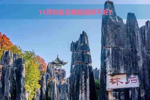 11月份去云南旅游好不好？