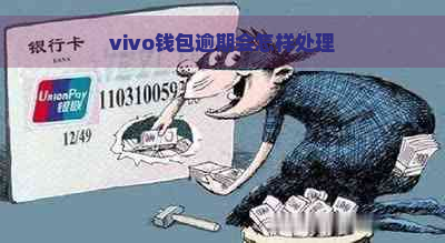 vivo钱包逾期会怎样处理