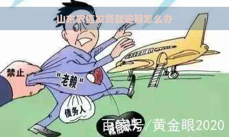 山东农信发贷款逾期怎么办