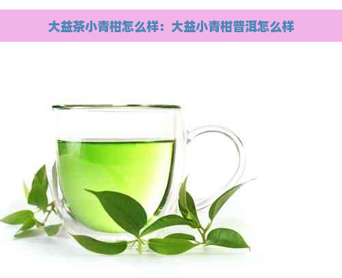 大益茶小青柑怎么样：大益小青柑普洱怎么样