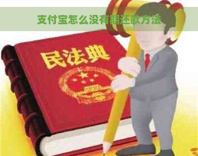 支付宝怎么没有期还款方法