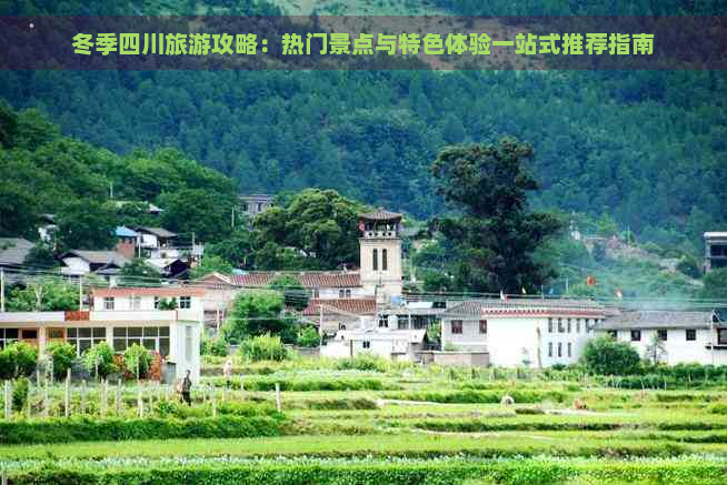 冬季四川旅游攻略：热门景点与特色体验一站式推荐指南