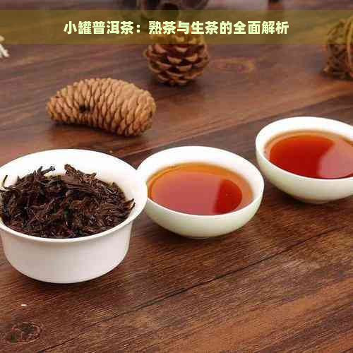 小罐普洱茶：熟茶与生茶的全面解析