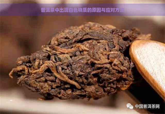 普洱茶中出现白色物质的原因与应对方法