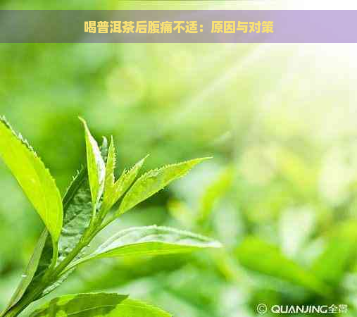 喝普洱茶后腹痛不适：原因与对策