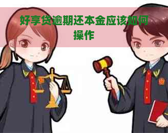 好享贷逾期还本金应该如何操作