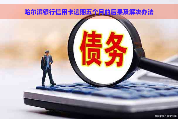 哈尔滨银行信用卡逾期五个月的后果及解决办法