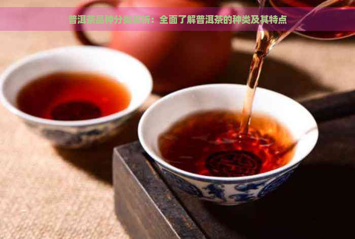 普洱茶品种分类解析：全面了解普洱茶的种类及其特点