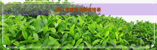 浙江大益普洱茶价格表