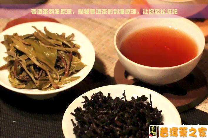 普洱茶刮油原理，揭秘普洱茶的刮油原理，让你轻松减肥