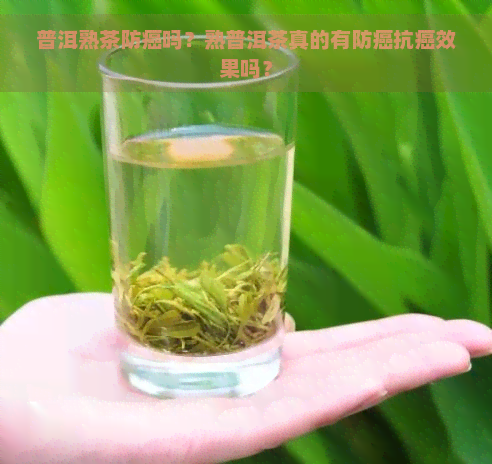 普洱熟茶防癌吗？熟普洱茶真的有防癌抗癌效果吗？