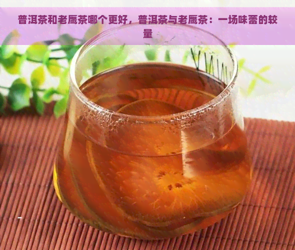 普洱茶和老鹰茶哪个更好，普洱茶与老鹰茶：一场味蕾的较量