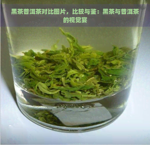 黑茶普洱茶对比图片，比较与鉴：黑茶与普洱茶的视觉宴