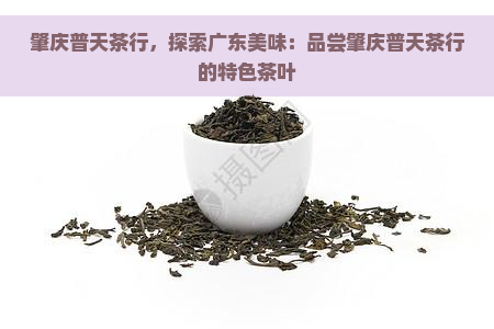 肇庆普天茶行，探索广东美味：品尝肇庆普天茶行的特色茶叶