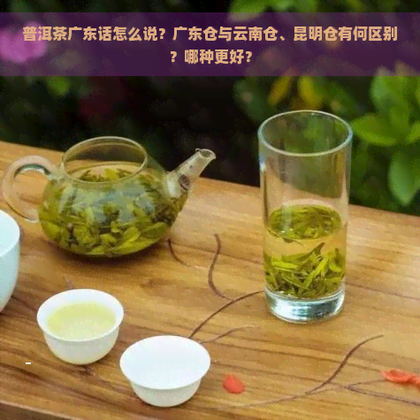 普洱茶广东话怎么说？广东仓与云南仓、昆明仓有何区别？哪种更好？