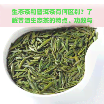 生态茶和普洱茶有何区别？了解普洱生态茶的特点、功效与作用