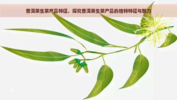 普洱茶生茶产品特征，探究普洱茶生茶产品的独特特征与魅力