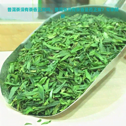 普洱茶没有茶香正常吗，普洱茶没有茶香是否正常？专家解析