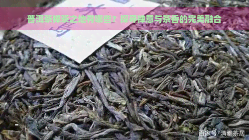 普洱茶禅茶之地有哪些？探寻禅意与茶香的完美融合