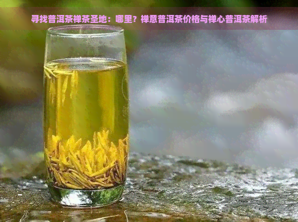 寻找普洱茶禅茶圣地：哪里？禅意普洱茶价格与禅心普洱茶解析